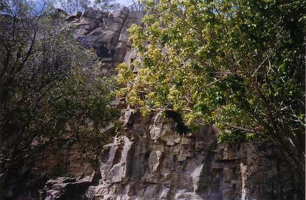 photo of Kangaroo Point Cliffs