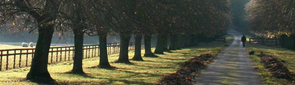  Curious Cat Australia Travel